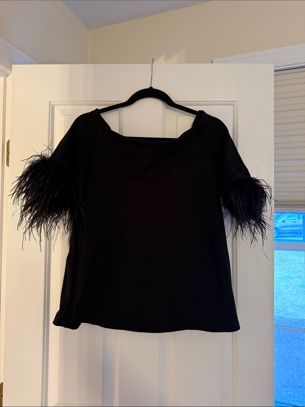 Tuckernuck Black Feather-Trim Short Sleeve Top